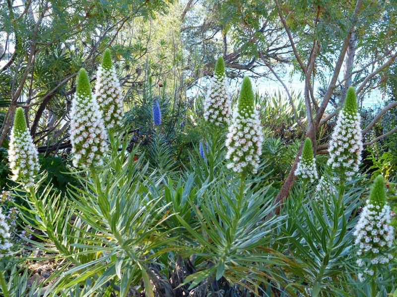 P1190983
