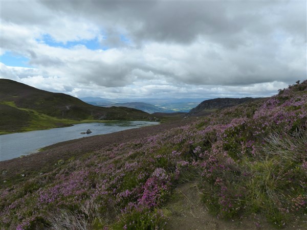 P1170275