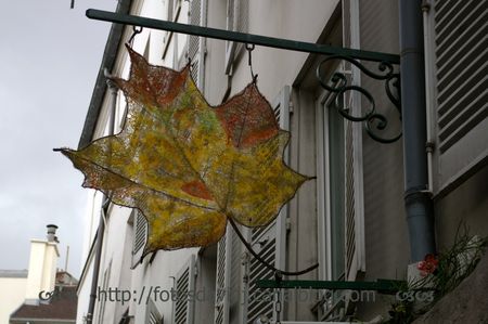 Paris_Octobre2011_021