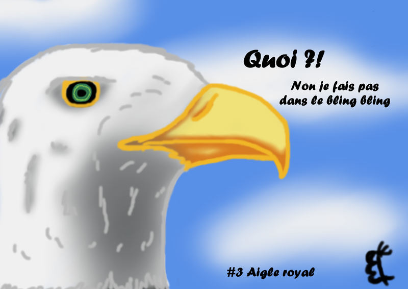 Aigle royal