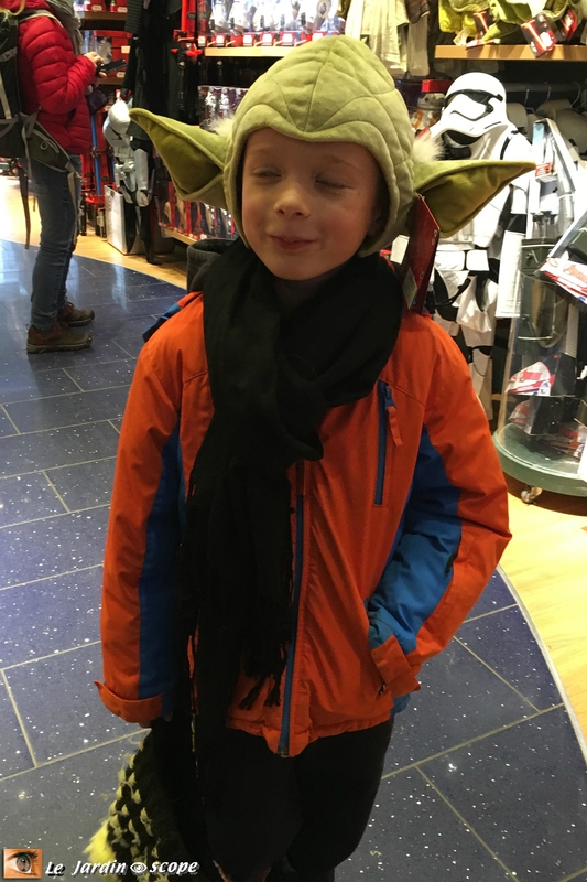 Maître Yoda-Gabin