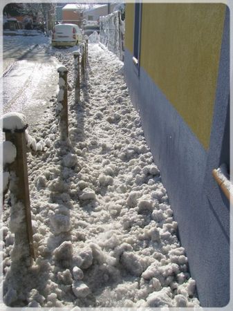 neige janv 2012 030
