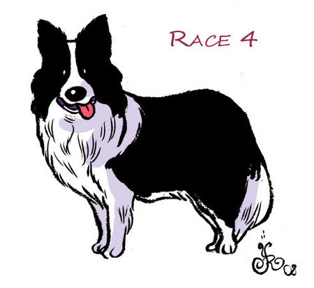 race4