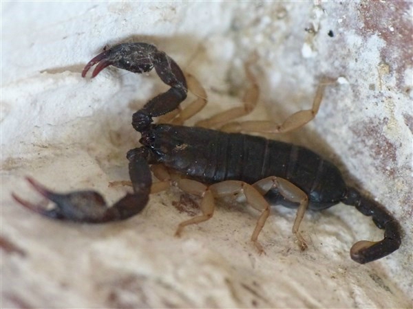 P1130005