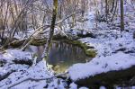 La source pérenne de Plan de Pouts dans sa parure hivernale. (les photos sont de Stoche)