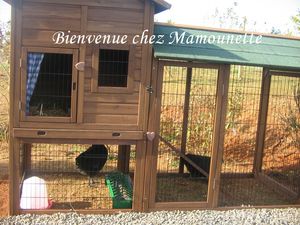 Poulailler_026