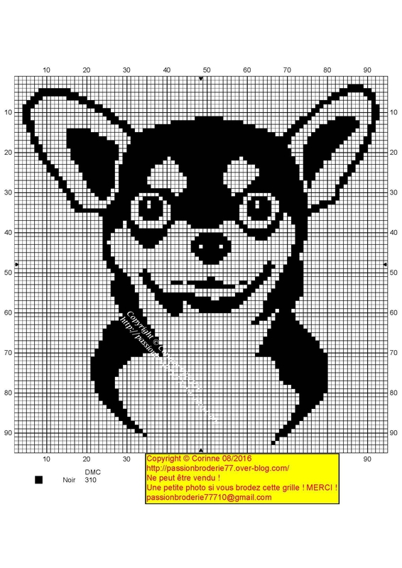 chihuahua