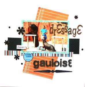 lilou752_dressage_a_la_gauloise