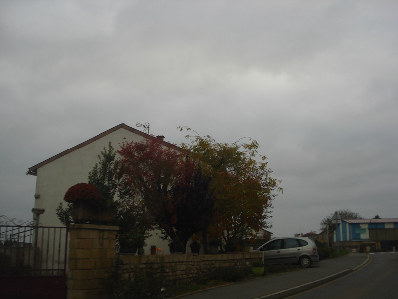 DSC08761