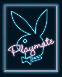 Mini-Posters-Playmate--Neon--330319
