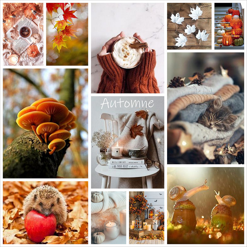 Moodboard Aurel - Octobre