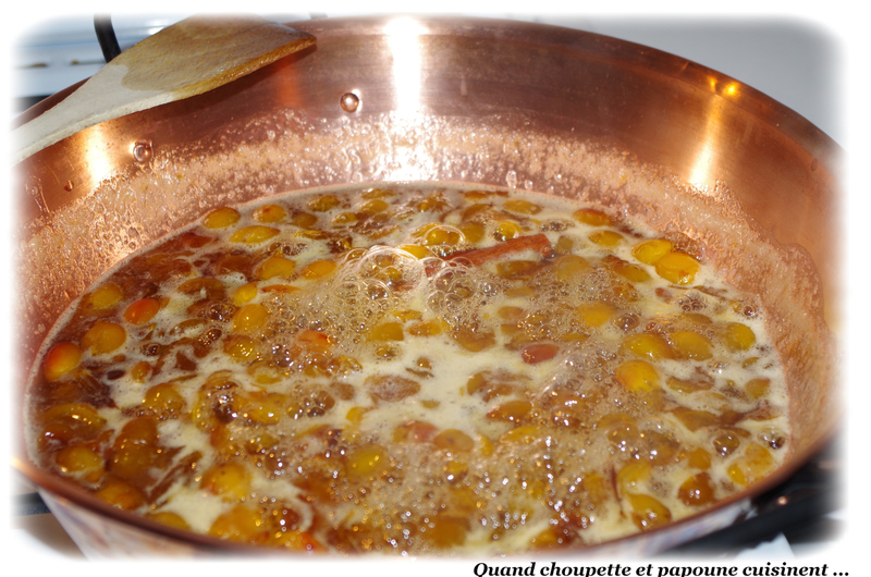 confiture à la mirabelles et balsamique-6213