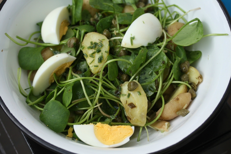 salade de pourpier rattes du touquet et capres