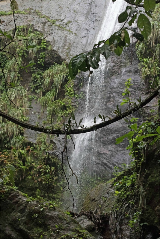 Martinique J3 061217 7D 28 anse et cascade Couleuvre cascade