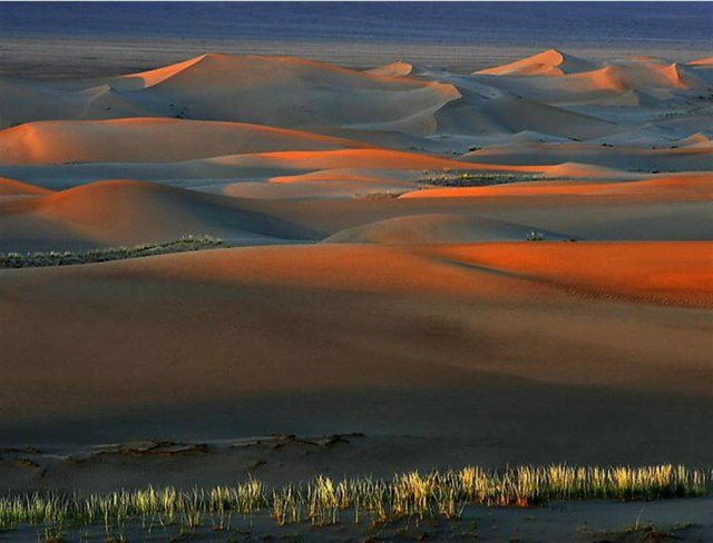desert-gobi-l-1