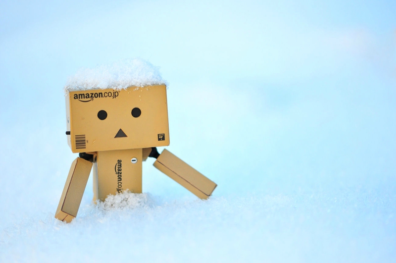 Danbo-neige3