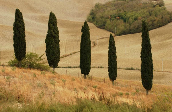 toscana_toscane_toskana