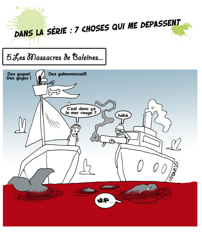 massacres_de_baleines
