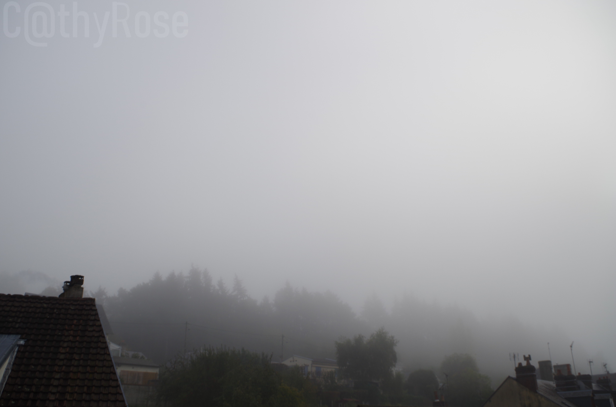 182-26 octobre 2019