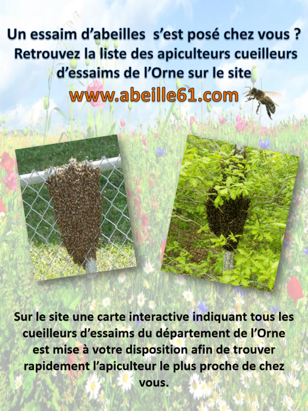 affiche abeilles