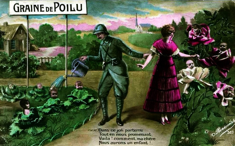 Graines de Poilus 71