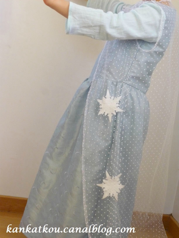 P1170811 (2) robe reine des neiges