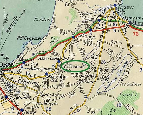 Carte_Michelin_Fleurus