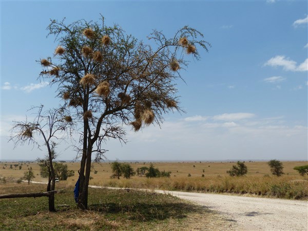 P1140602