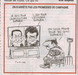 canard