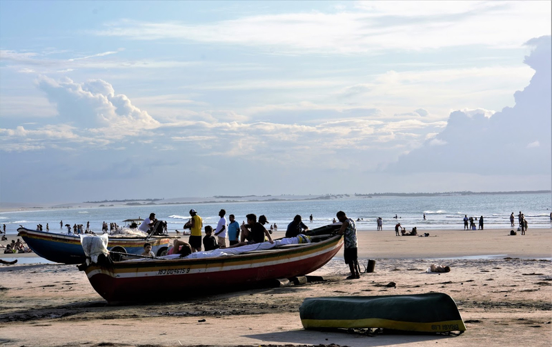 DSC_1497 (3)