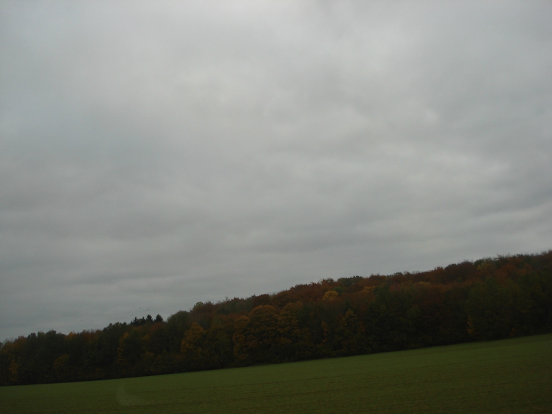 DSC08765