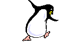 funky_penguin