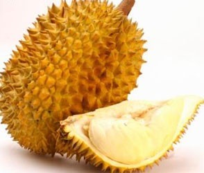 Blog_Durian