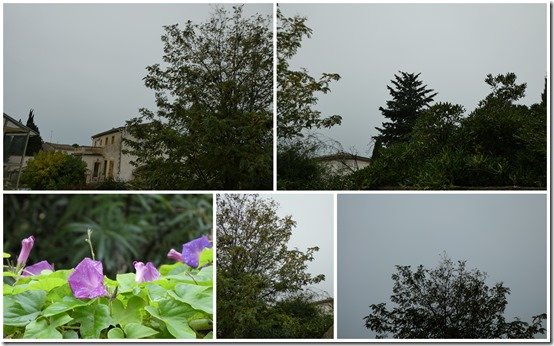 météo1