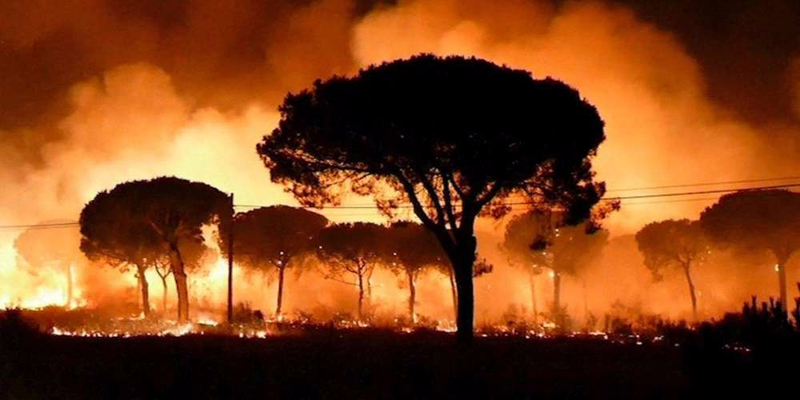 incendie en espagne