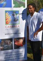 copyright Caribaea