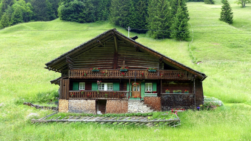 A31