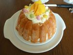 charlotte mangue chocolat blanc (27)