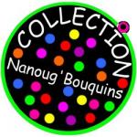LOGO Nanoug'bouquins250
