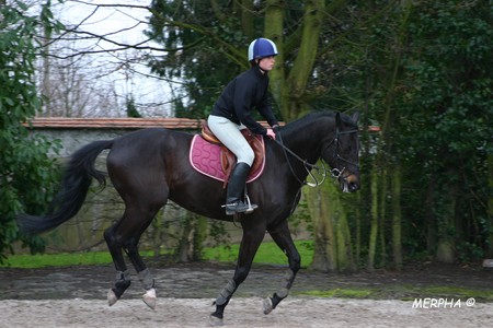 Margaux_et_Lucky_Galop