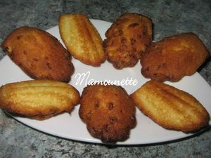 Madeleines citronnées 008