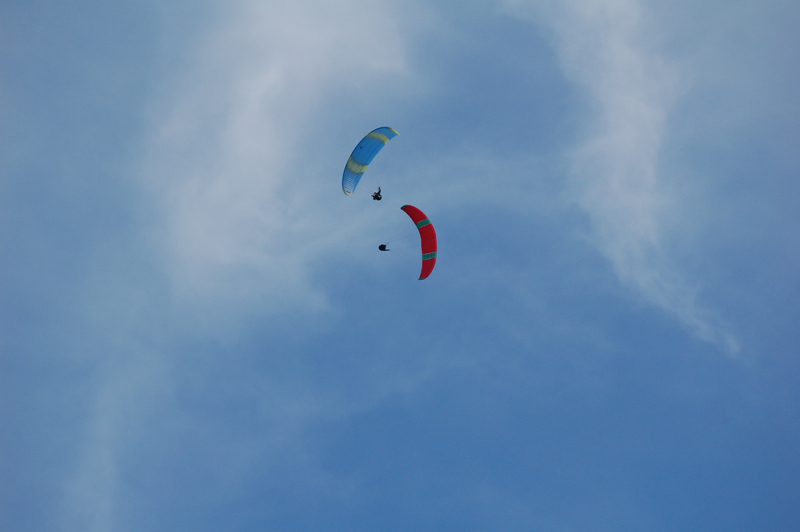 zoom (2)