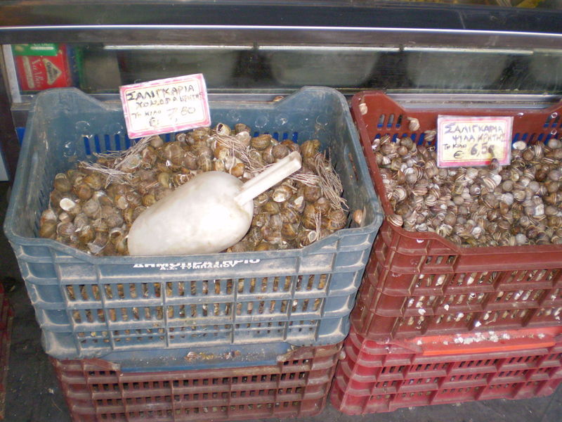 Marché Athènes - les escargots