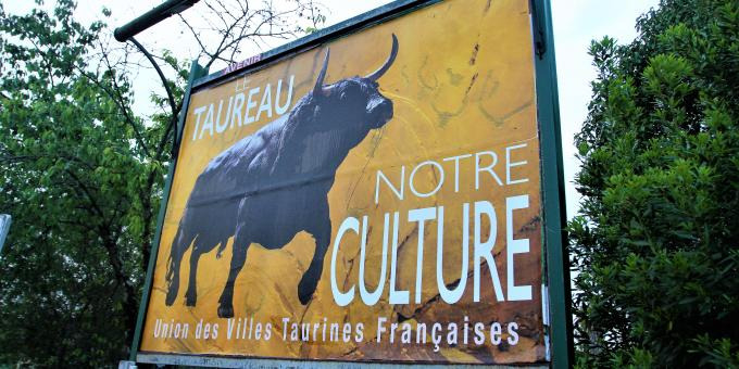 Affiche Le taureau notre culture pano 2