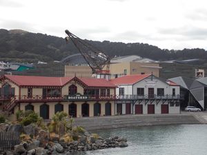 port Wellington 1 dec (2)