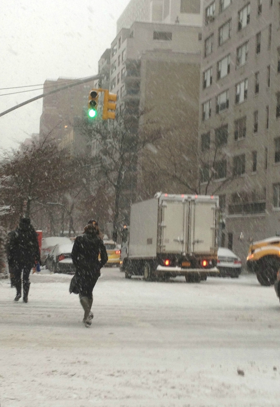 nyc snow day jan 2014 4