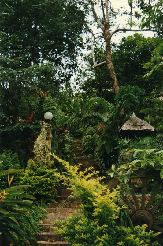 thai043