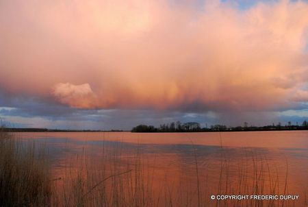 arc en ciel fdp w (15)