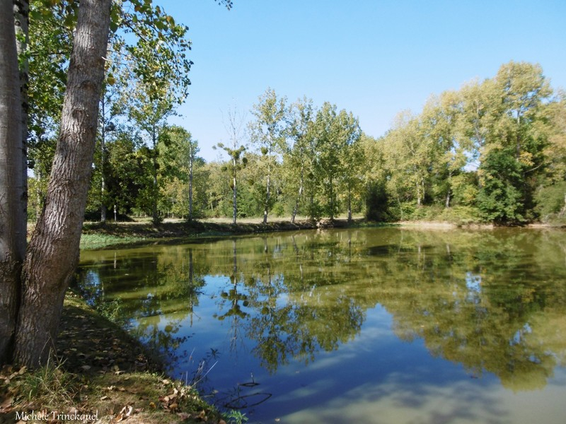 Etangs de la Marnière, de Vicq d'Auribat et St Jean de Lier 290918