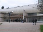 IMG_8710__Medium_